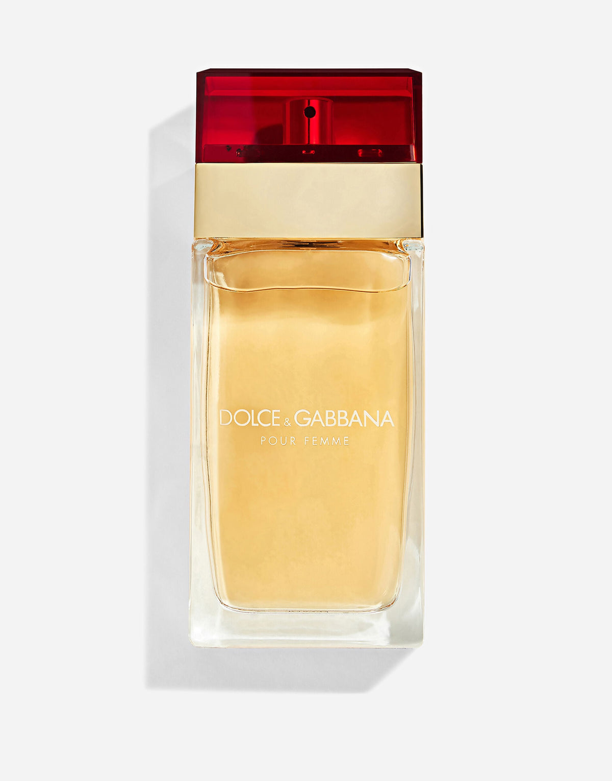 Dolce and Gabbana Pour Femme Women`s Eau De Toilette Spray 3.3 oz
