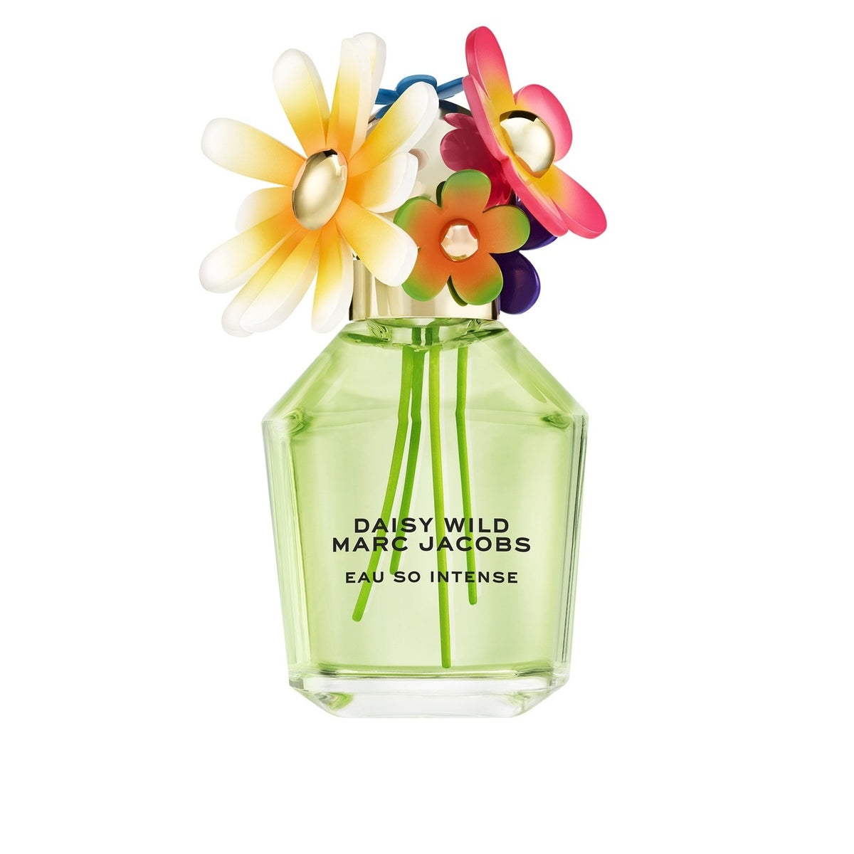 Marc Jacobs Daisy Wild Eau So Intense perfume bottle with colorful flowers on a white background